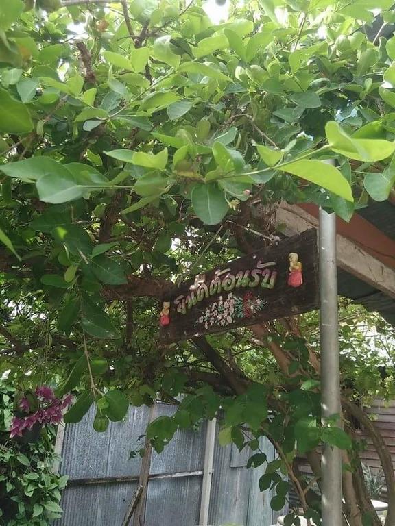 Patchaya Guesthouse Amphawa Exterior foto